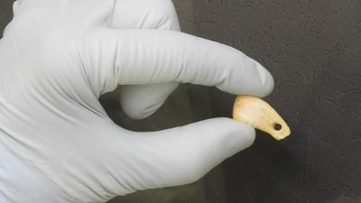 Ancient human DNA extracted from 20,000-year-old deer tooth pendant found in Denisova Cave