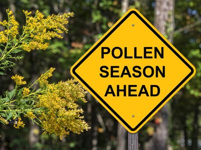 Seasonal allergies tips and tricks as pollen count rises