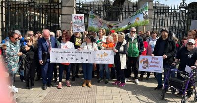 Protestors demand pet law reform outside Dail