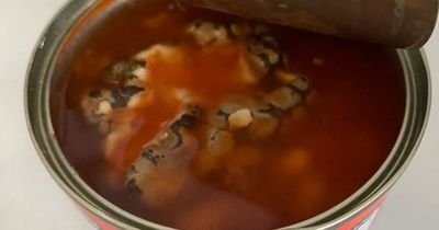 Aldi shopper horrified to find what looked like 'dead snake' inside tin of baked beans