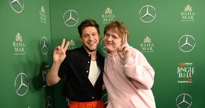 Lewis Capaldi branded 'liar' by best pal Niall Horan over documentary confession