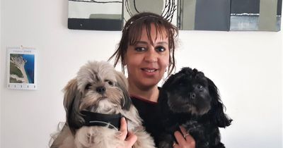 Woman determined to help pensioners and homeless dog owners