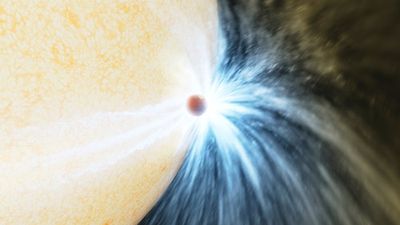 Astronomers Caught The Exact Moment a Dying Star Swallowed an Entire Planet
