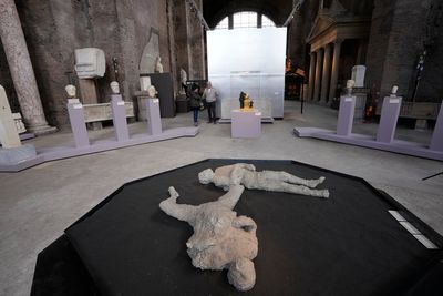 Pompeii chariot stars in Rome exhibit probing ancient roots
