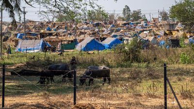 HC issues notice to Maharashtra govt. taking cognisance of The Hindu’s article on migrant worker exploitation