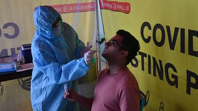 220 persons test positive for COVID-19 infection
