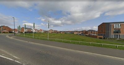 Proposed shop at Wallsend's Moor Drive development splits local opinion