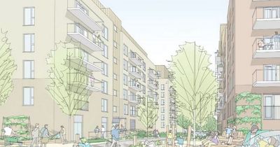 Fishponds residents 'completely unaware' about 2,500 new homes plan