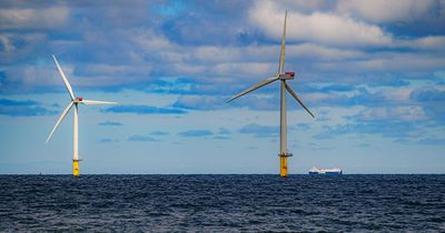 Developer plans North Sea wind turbine network to provide power for oil rigs