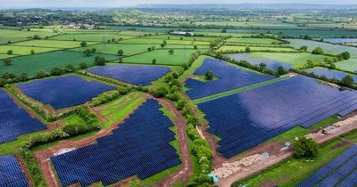 Cero Generation and Enso Energy open UK's first transmission-connected solar farm