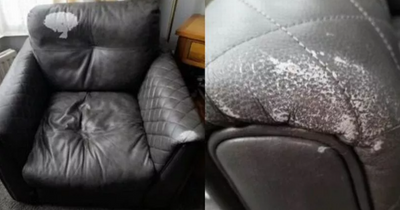 Grandparents 'ashamed and embarrassed' after £2,600 ScS sofa ruined in months
