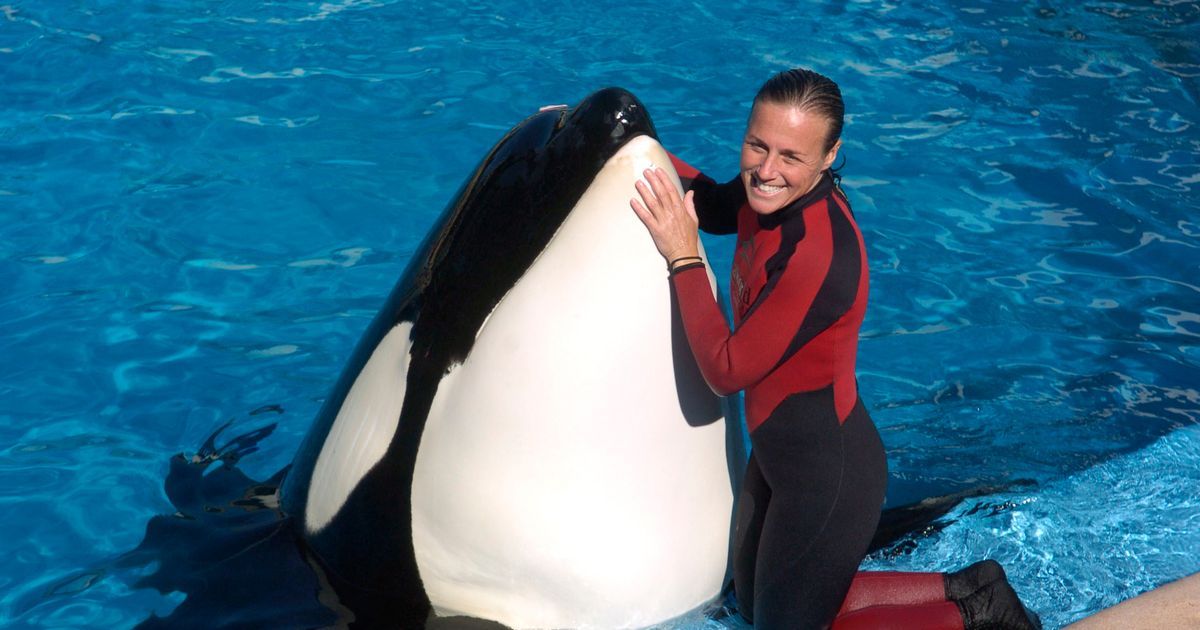 Horror injuries of SeaWorld trainer killed by orca