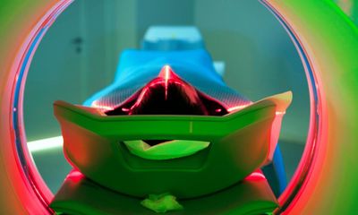 The Experience Machine by Andy Clark review – how our brains really work