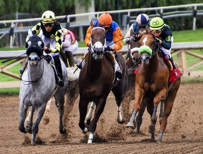 Despite four racing-related deaths at Churchill Downs, database shows injuries down in 2022