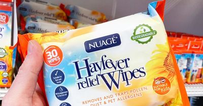 Shoppers say 89p hay fever item from Home Bargains is a 'godsend' for symptoms