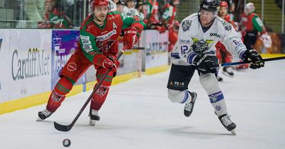Llanelli tech firm signs five-year sponsorship deal with home of Cardiff Devils