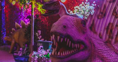 New dinosaur trail opens in Greater Manchester this Coronation weekend and tickets cost a fiver