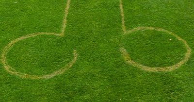 Giant penis appears on lawn days before Coronation party at historic landmark