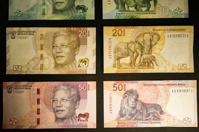 Baby animals join Mandela on environment-themed S.African banknotes