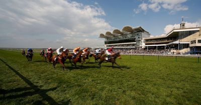 Horse racing tips: Newsboy's ITV4 selections from Newmarket plus other picks for Friday