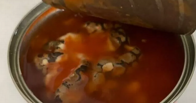 Aldi customer left horrified after finding 'dead snake' in can of baked beans