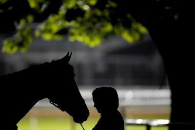 Four horses die in Kentucky before iconic derby