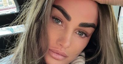 Katie Price, 44, says she will use a fan as a surrogate as she plans for baby number six