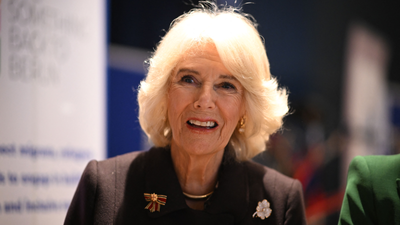 Americans still hold a 'grudge' against Camilla claims US reporter