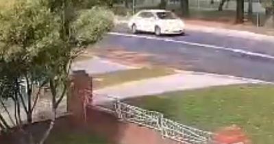 Video captures moment driver narrowly avoids falling tree in Queanbeyan