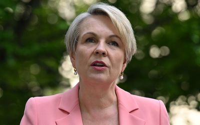 Federal minister cancels two Queensland coal projects