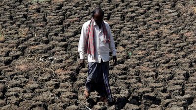 Explained | Can land restoration protect the earth?