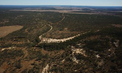 Tanya Plibersek rejects two Queensland coalmines over failure to provide detail on environmental impact