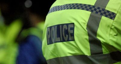 Mum shoved police officer when she thought arrest of person was 'heavy-handed'