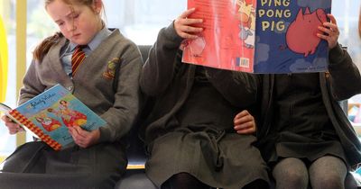 Too many young people leave school in Wales without being 'functionally literate', inspectors warn
