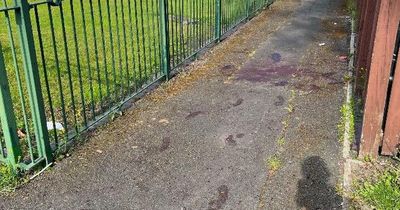Pathway left spattered in blood as man injured in 'disturbance' on estate