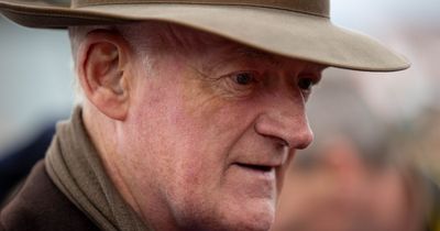 Willie Mullins-trained horse dies following Punchestown Festival run weeks after Cheltenham third