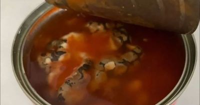 Aldi shopper 'freaked out' after finding 'dead snake' in tin of baked beans