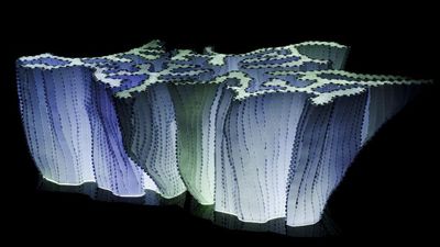 Caring for coral reefs through art