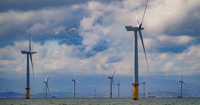 Offshore wind powering almost half of UK homes, says Crown Estate