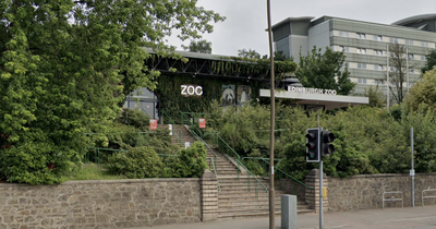Edinburgh Zoo to welcome Bluey and Bingo from much loved children's TV show for fun-filled day