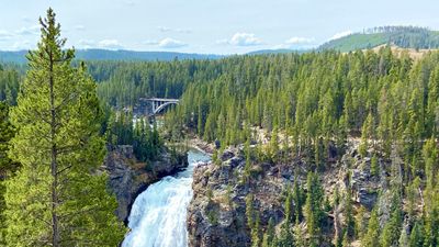 Video shows clueless Yellowstone tourists stuck on cliff trying to take photos