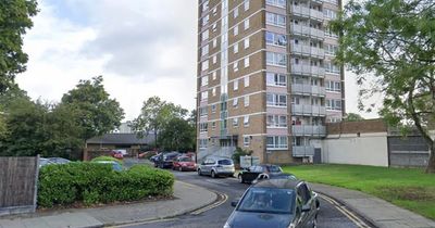 Woman mauled by dog in London tower block rushed to hospital as beast seized by police