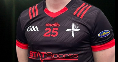 Louth GAA slammed over 'pure greed' as fans fume over new jersey prices