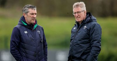 IRFU begin search for new women's supremo after confirming Greg McWilliams departure