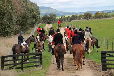 The hunt: the little-known war being waged over horse and hound foxhunting in Australia