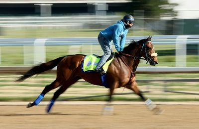 Skinner becomes fourth horse scratched from Kentucky Derby
