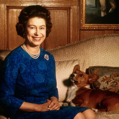 You won't believe the hilarious names Queen Elizabeth gave her corgis over the years