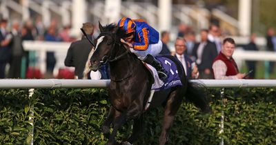 Horse Power: Auguste Rodin to grab Classic glory