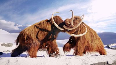 Woolly mammoths were seasonal sex fiends just like elephants, study finds