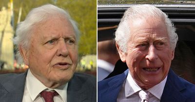 David Attenborough claims King Charles was 'mocked' over conservation passion